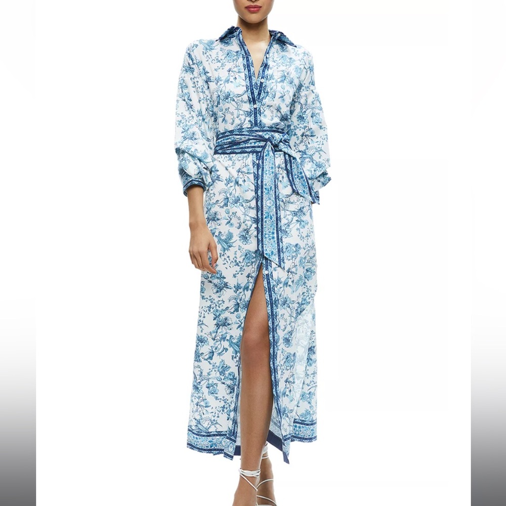Alice & Olivia shirt dress